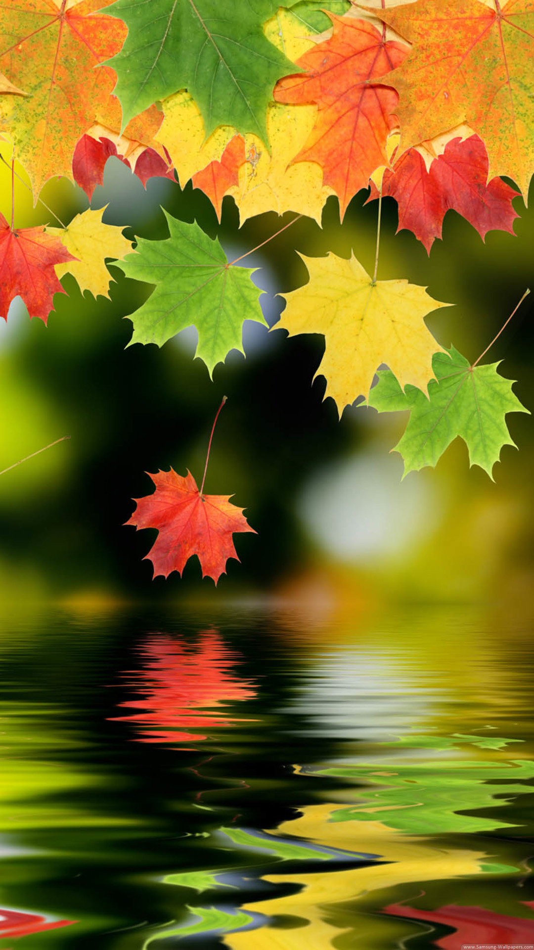 Otoño fondos de pantalla para android e iphone, fondos otoño movil