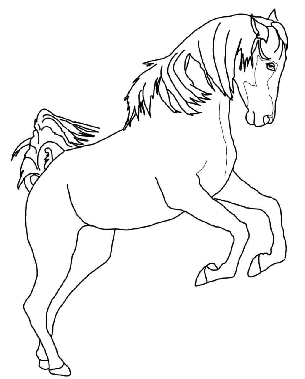 Dibujos de caballos para colorear e imprimir gratis, caballos para pintar