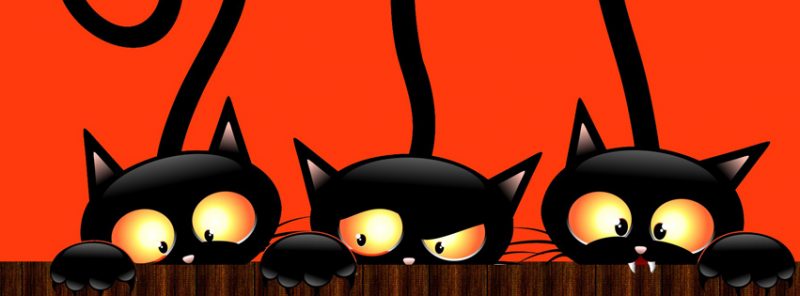 3-gatos-negros-facebook-halloween