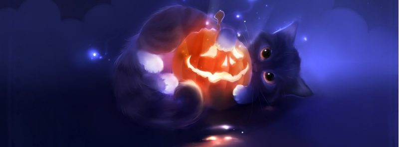 gato-magico-portada-halloween-facebook