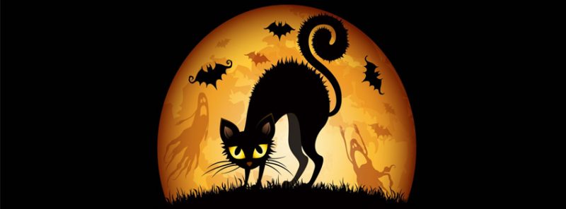 gato-y-luna-facebook-halloween
