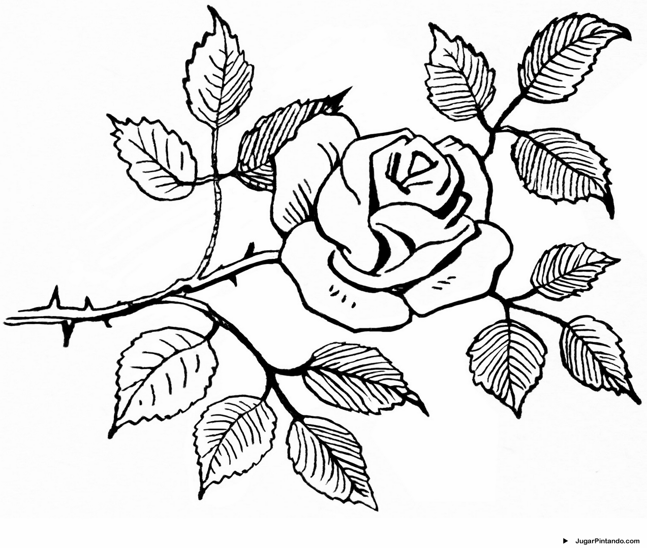 Dibujos De Flores Para Colorear E Imprimir