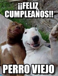 23 Memes de Cumpleaños chistosos y graciosos para Facebook o WhatsApp